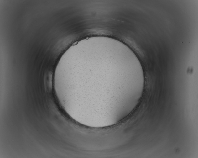 X0000092240014200710051248
