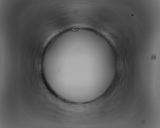 X0000092240015200710051248