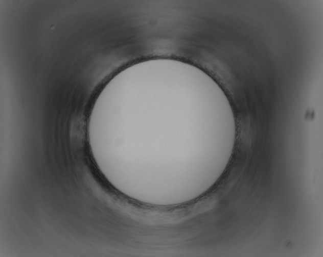 X0000092240016200710051248