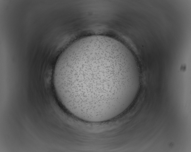 X0000092240018200710051248