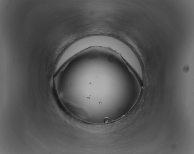 X0000092240019200710051248