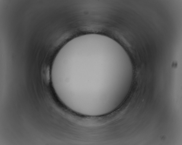 X0000092240020200710051248