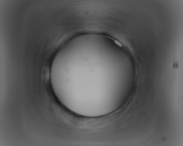 X0000092240021200710051247