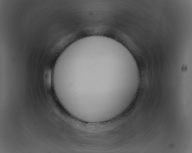 X0000092240022200710051247