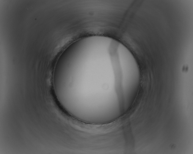 X0000092240023200710051247