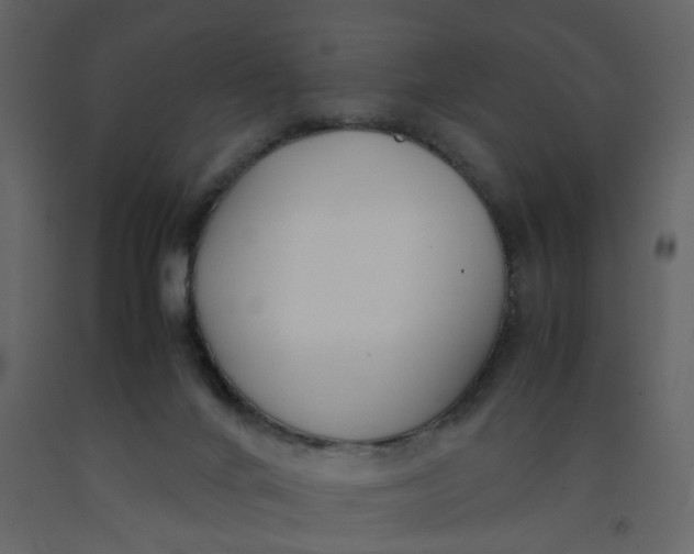 X0000092240024200710051247