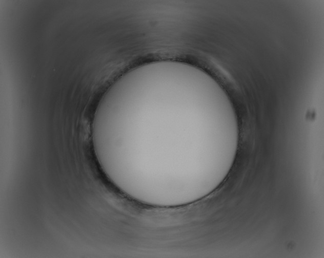 X0000092240025200710051247