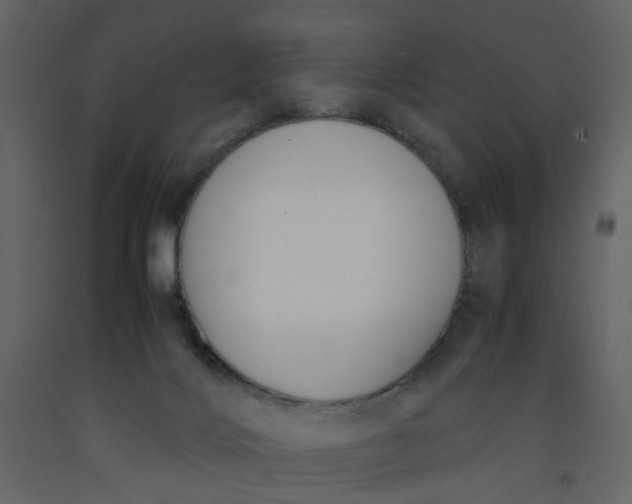 X0000092240028200710051247