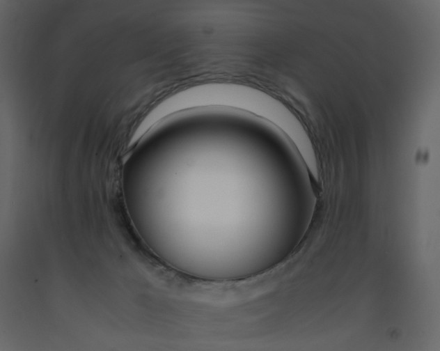 X0000092240029200710051247