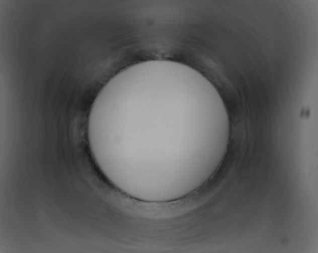 X0000092240030200710051247