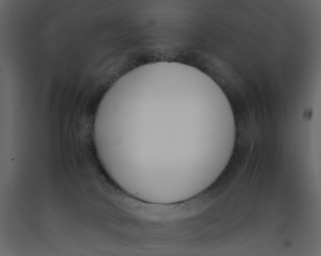 X0000092240034200710051247