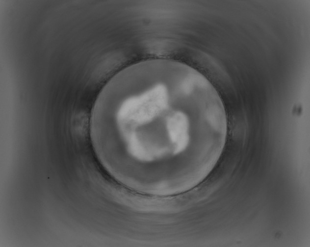 X0000092240036200710051247