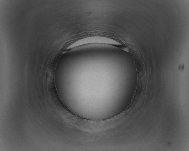 X0000092240037200710051247