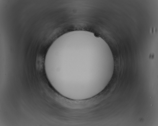 X0000092240038200710051247