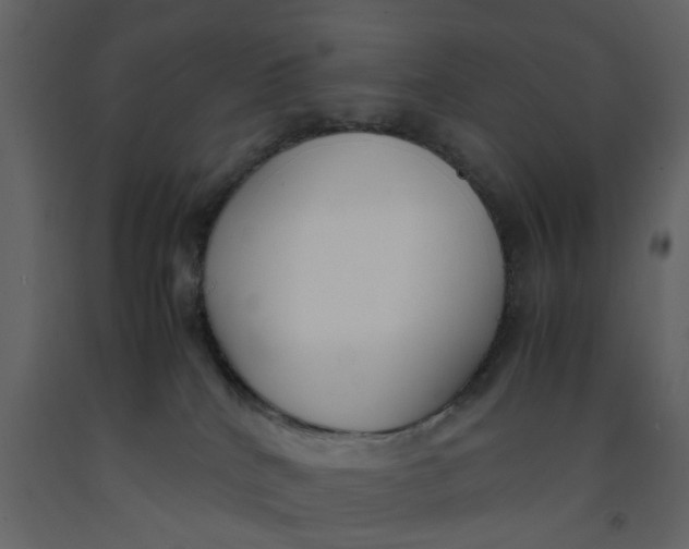 X0000092240040200710051247