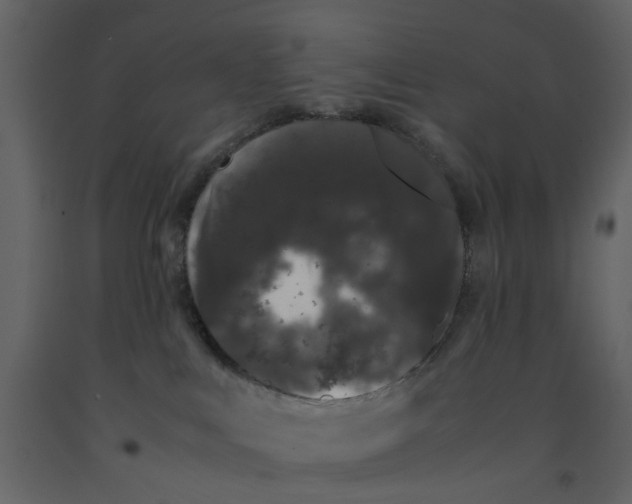 X0000092240043200710051247