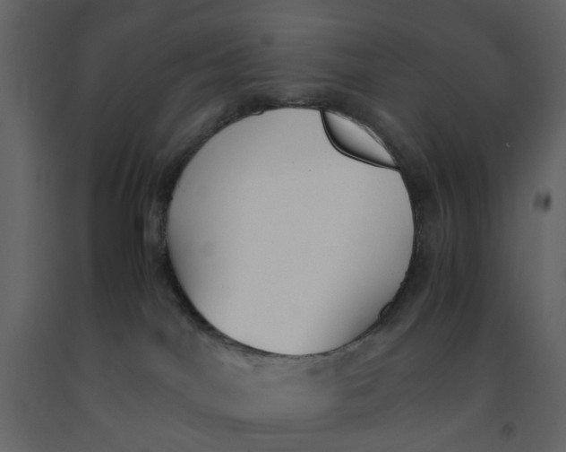 X0000092240044200710051247