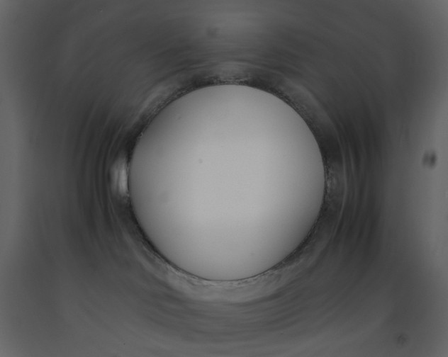 X0000092240046200710051247