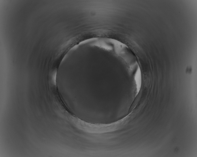X0000092240047200710051247
