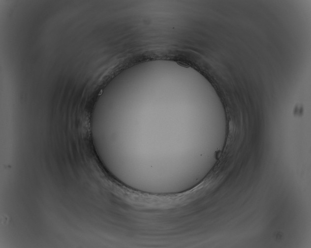X0000092240048200710051247