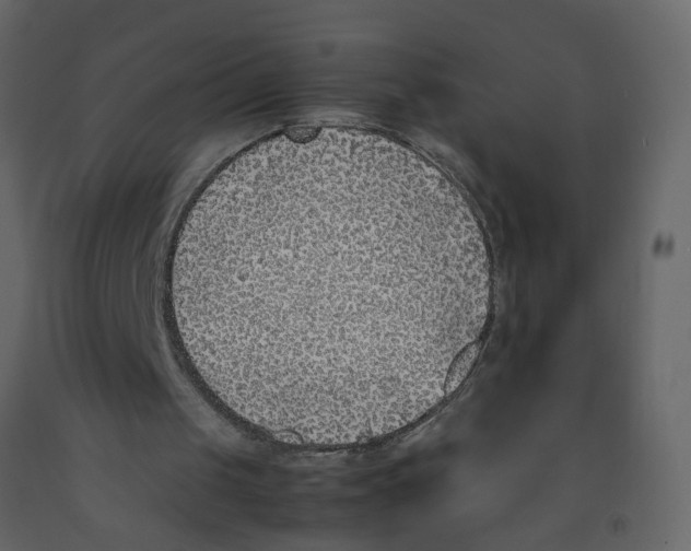 X0000092240049200710051247