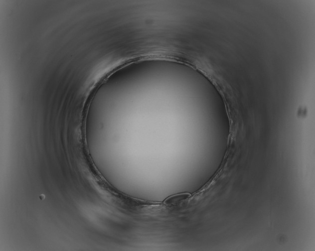 X0000092240050200710051247