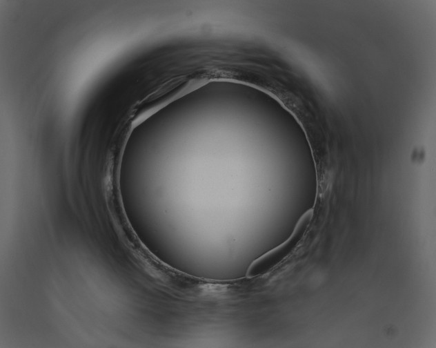 X0000092240052200710051247
