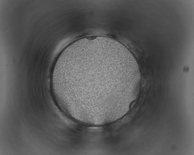 X0000092240053200710051247