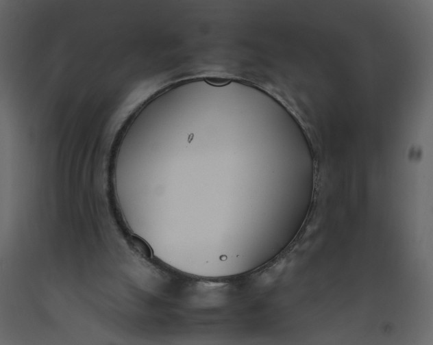 X0000092240055200710051247