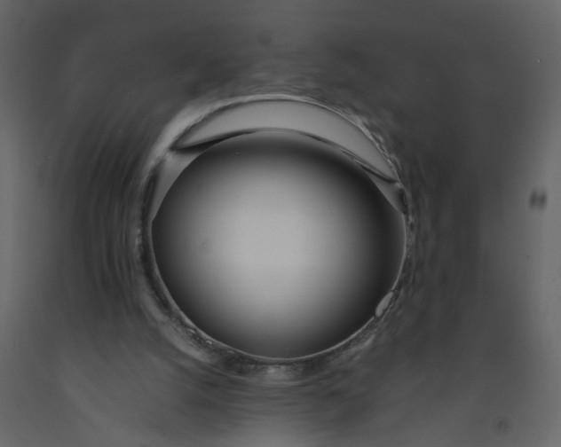 X0000092240056200710051247