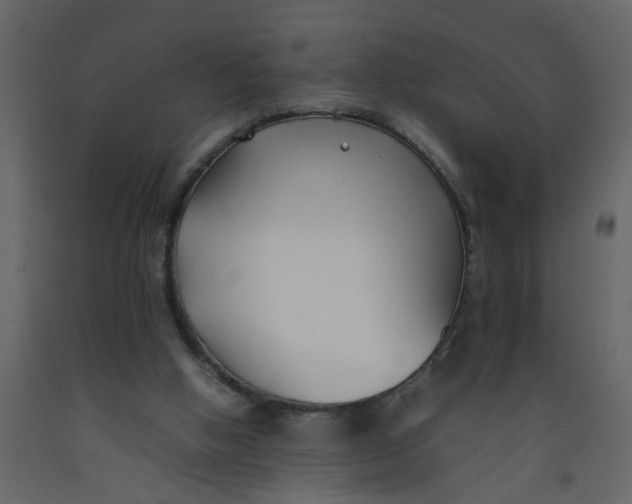 X0000092240058200710051247