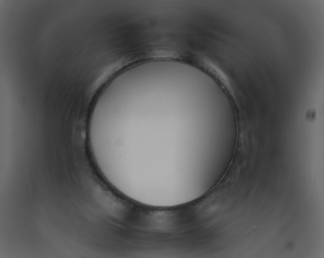 X0000092240059200710051247