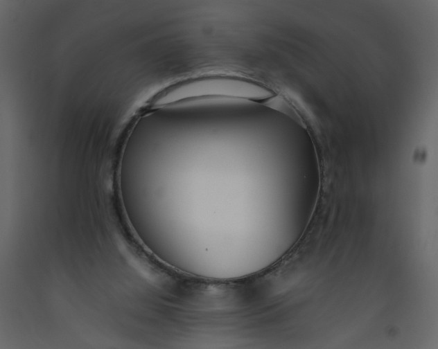 X0000092240060200710051247