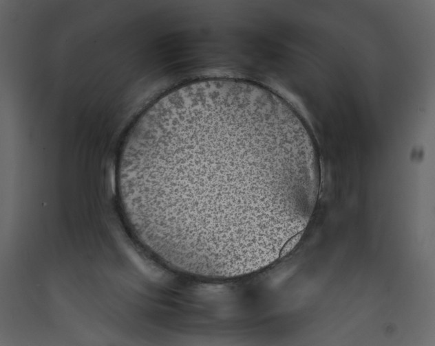 X0000092240061200710051247