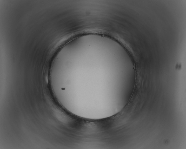 X0000092240062200710051247
