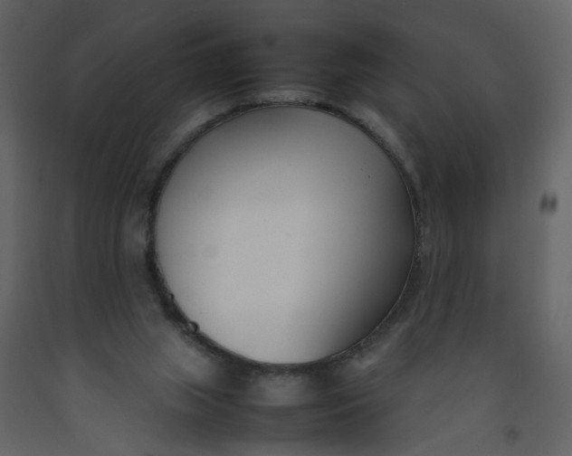 X0000092240063200710051247