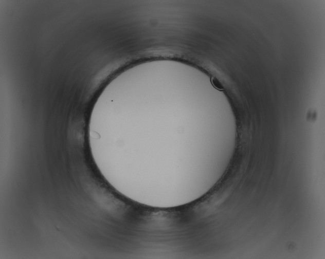 X0000092240064200710051247