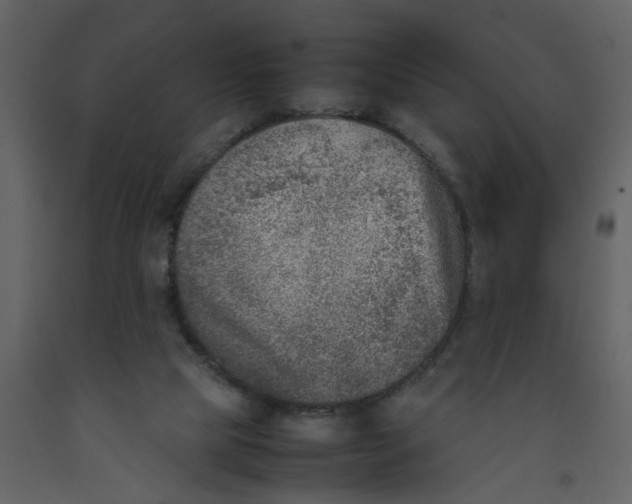 X0000092240065200710051247
