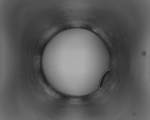 X0000092240066200710051247