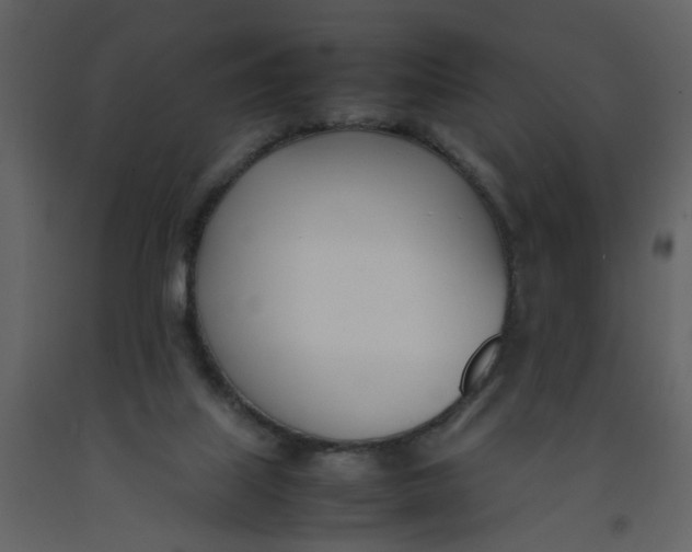 X0000092240067200710051247