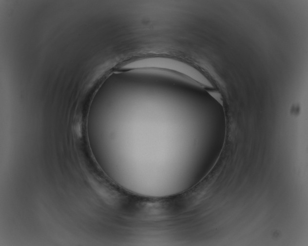 X0000092240068200710051247