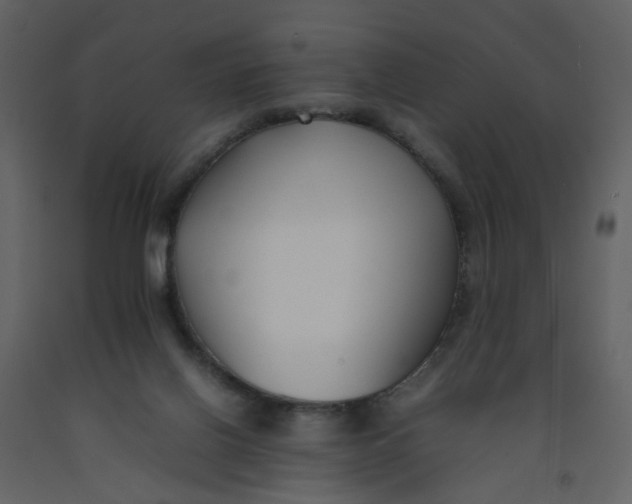 X0000092240070200710051247