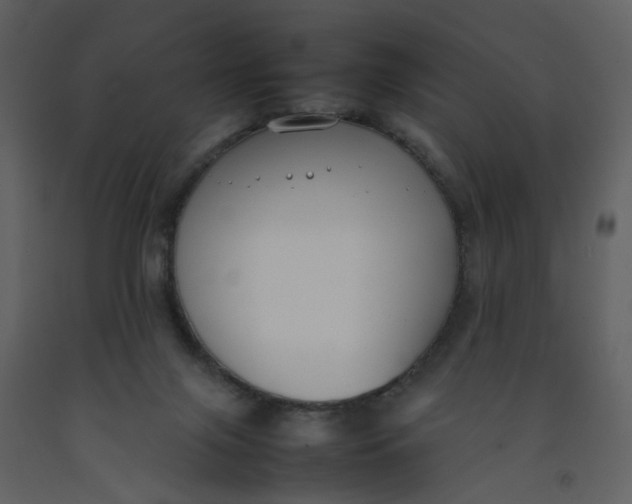 X0000092240071200710051247