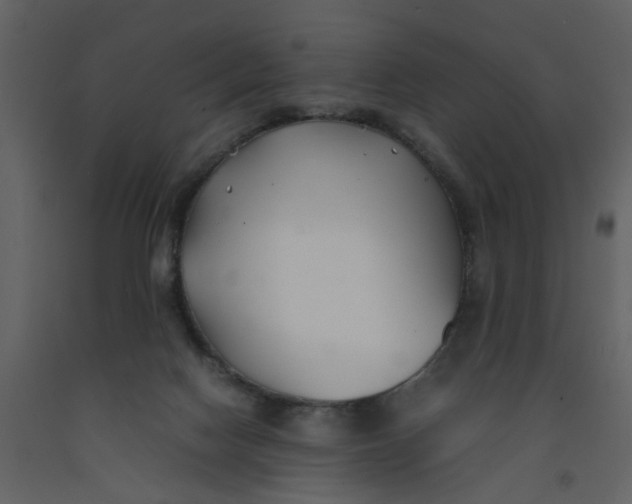 X0000092240074200710051247