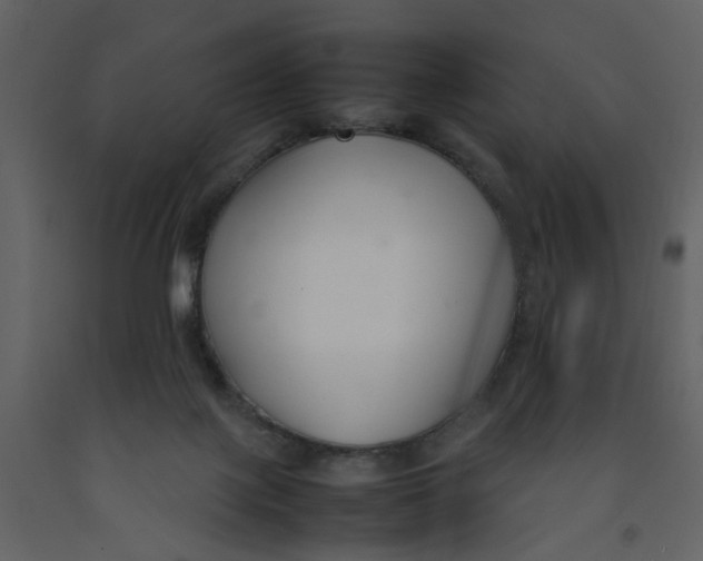 X0000092240075200710051247