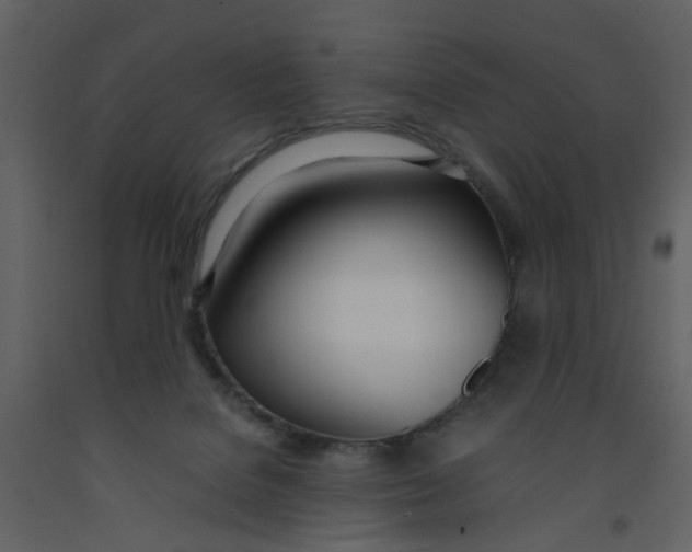 X0000092240076200710051247