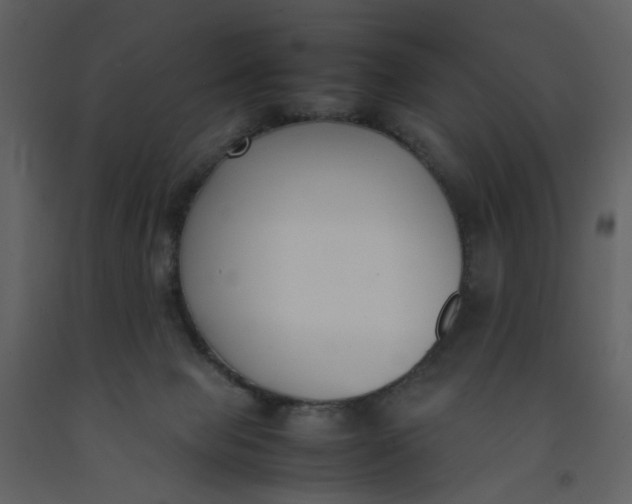 X0000092240077200710051247