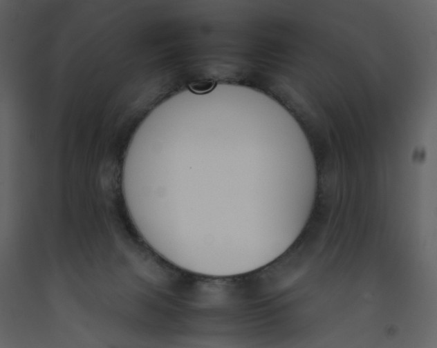 X0000092240079200710051247