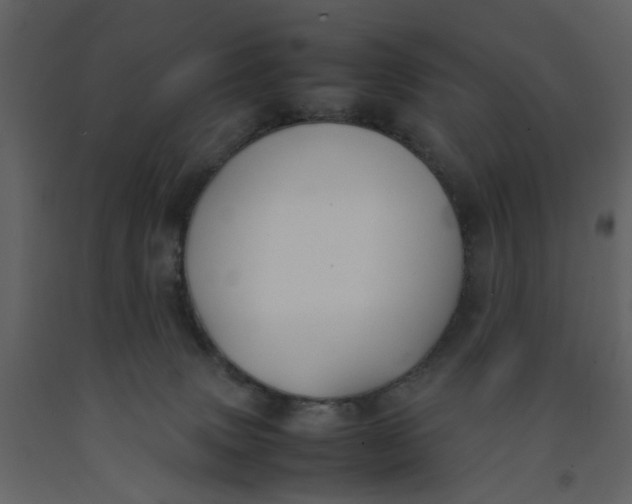 X0000092240083200710051247