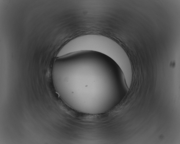 X0000092240084200710051247